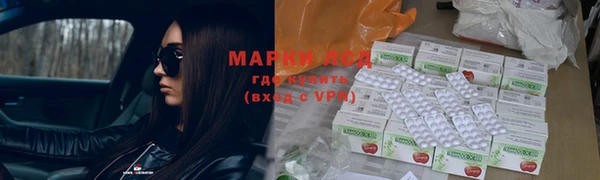 spice Вяземский