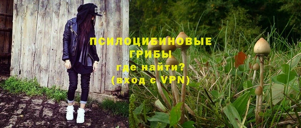 spice Вяземский