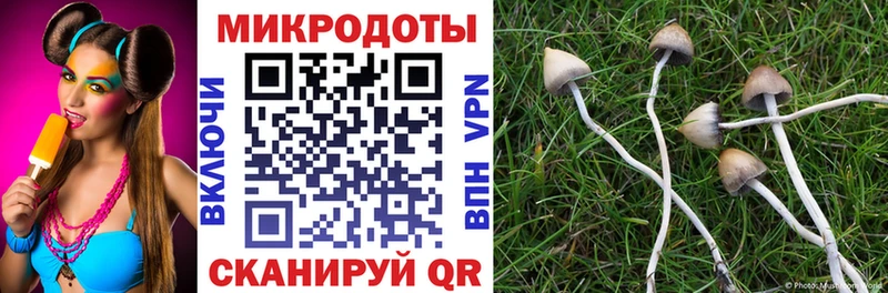 Псилоцибиновые грибы Cubensis  Купить закладки  Иланский 